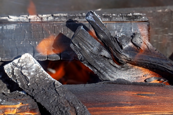 a fire made of logs with a bright flame at a camping while cooking - Организация трапезы в походе: хранение продуктов, походная кухня, утварь, меню