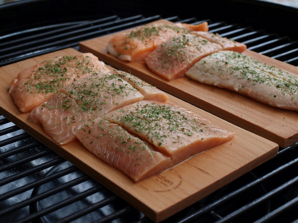 salmon-2326481_1920