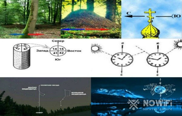 как ориентироваться в лесу