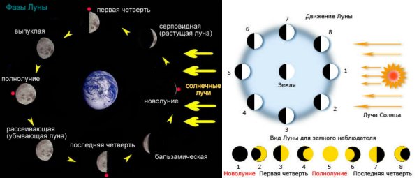 Ориентирование по фазам Луны