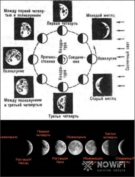 Фазы Луны фото