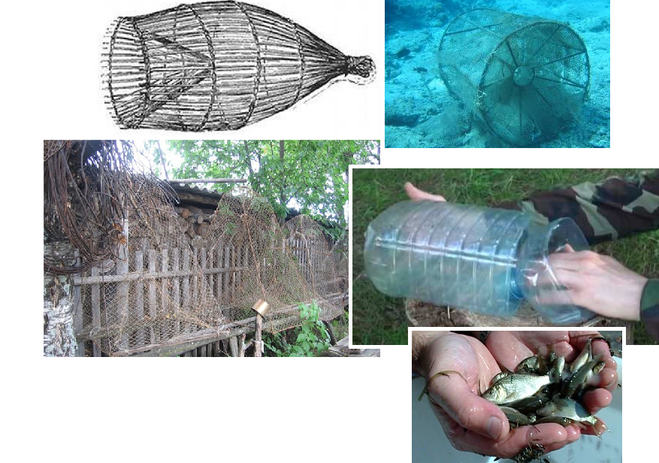 Рыбная ловля: 4 самые эффективные ловушки для рыбы