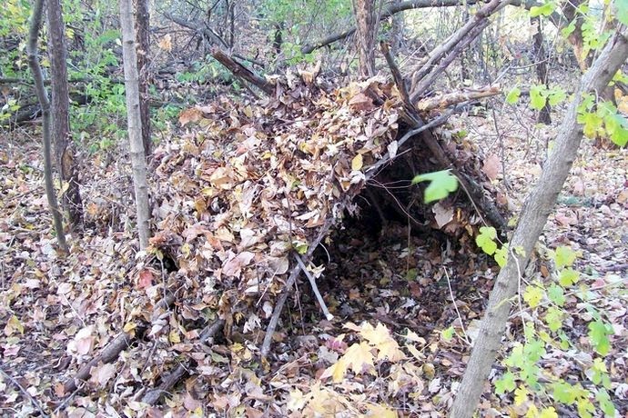 Убежище в лесу необходимо для выживания