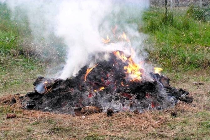 Сжигание травы и мусора на даче можно получить штраф до 200 тысяч рублей