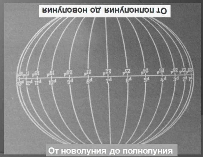 Количество этих «долек» пригодится при определении стороны света