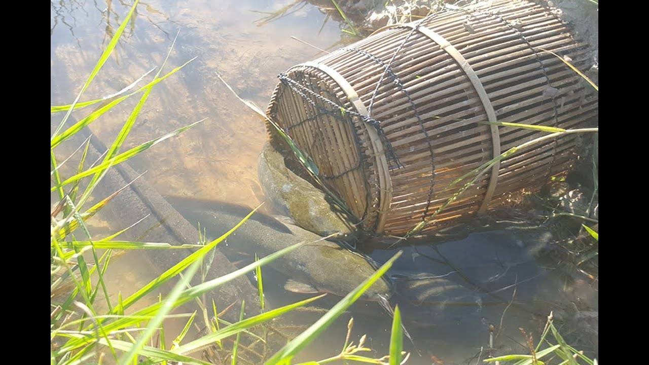 Ловушки для рыбы